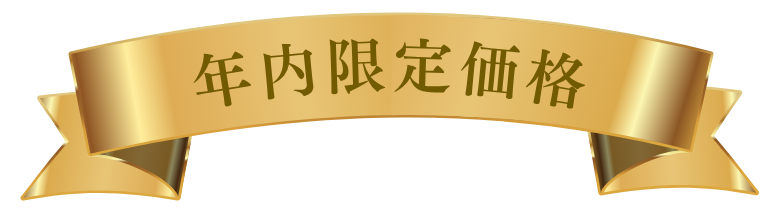 年内限定価格
